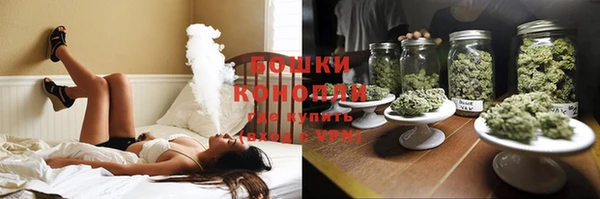 прущие грибы Аркадак