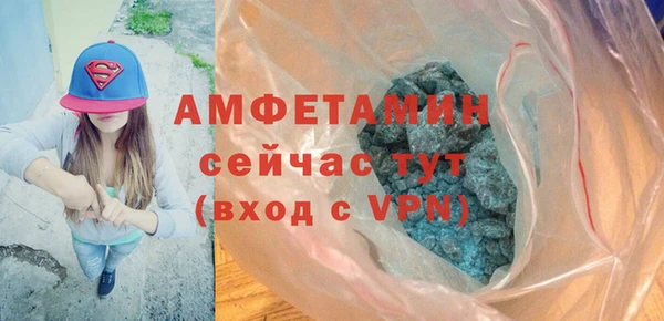 прущие грибы Аркадак