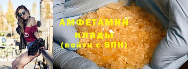 прущие грибы Аркадак