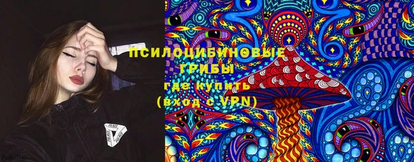 прущие грибы Аркадак